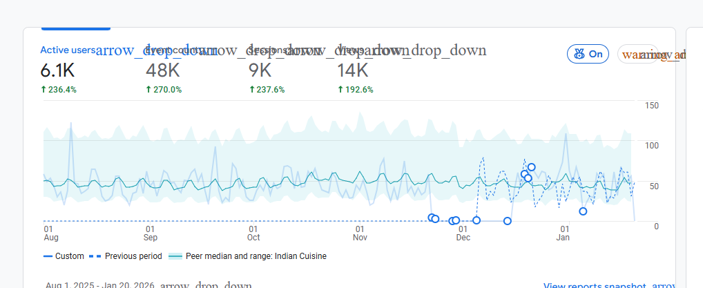 Local SEO Performance Results