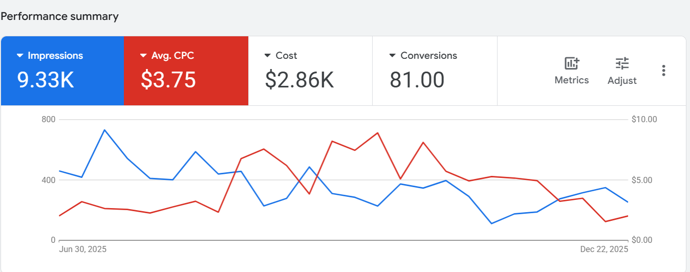 Google Ads Campaign Performance