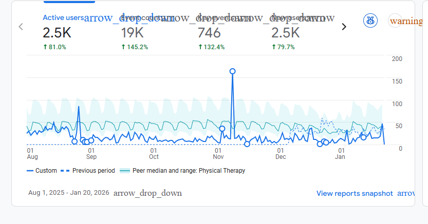SEO Traffic Performance