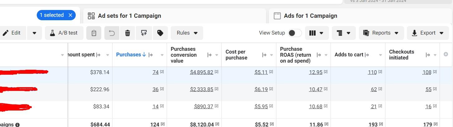 Meta Ads Performance Results